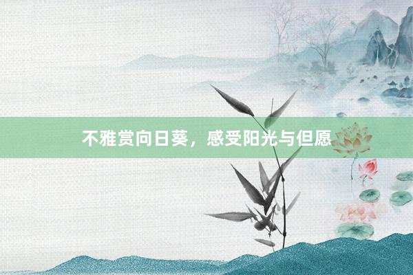 不雅赏向日葵，感受阳光与但愿