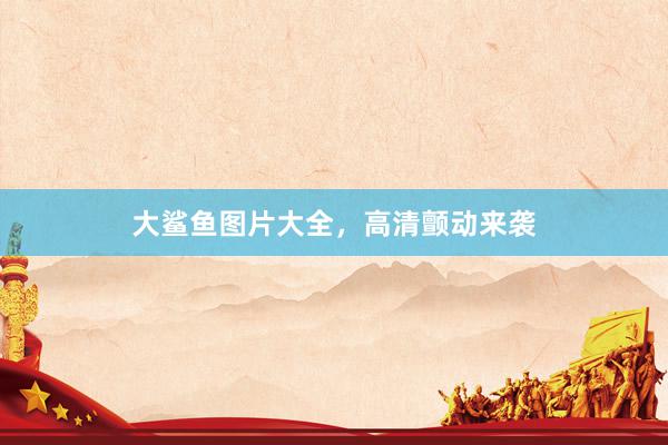 大鲨鱼图片大全，高清颤动来袭