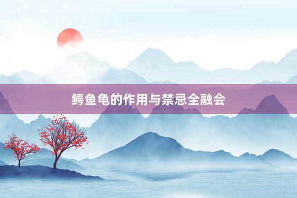 鳄鱼龟的作用与禁忌全融会