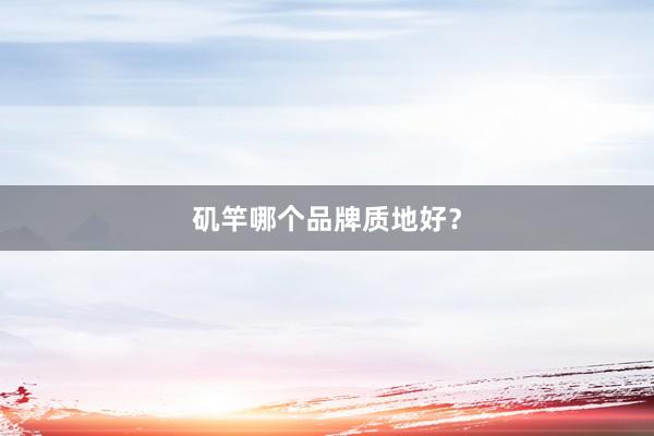 矶竿哪个品牌质地好？